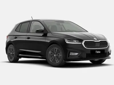 Skoda Skoda Fabia Tour 1.0 TSI 116 PS DSG - *ab 96€ netto möglich-Sofort verfügbar* im Auto Abo von LeasingTime