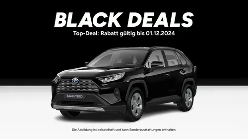 Toyota Toyota RAV4 2,5 VVT-i Hybrid, Business Edition im Auto Abo von Faaren