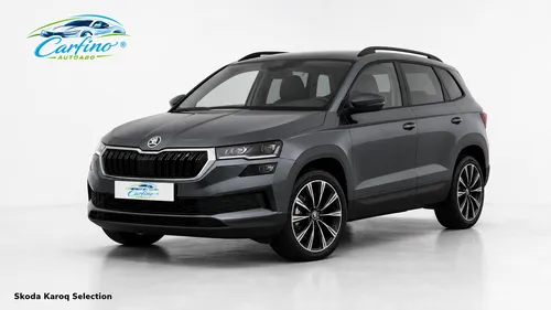 Skoda Skoda Karoq Selection 2,0 TDI 110 kW 7-Gang-DSG im Auto Abo von Carfino