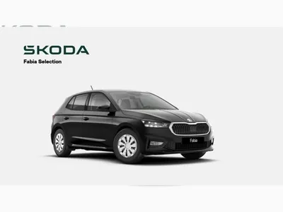 Skoda Skoda Fabia SELECTION 1.0  für Skoda Besitzer  (Neuss) im Auto Abo von LeasingMarkt.de