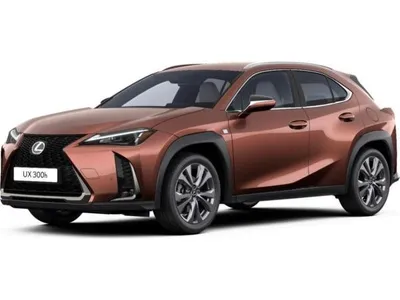 Lexus Lexus UX-300h 💥2,0 HYBRID - F SPORT DESIGN - CARPLAY - SONDERAKTION💥 im Auto Abo von LeasingMarkt.de