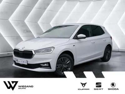 Skoda Skoda Fabia Tour 1.0 TSI - KLIMA PDC SHZ KAMERA LED *355* im Auto Abo von LeasingMarkt.de