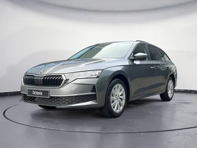 Skoda Skoda Octavia Combi Selection 1,5 TSI 6Gang im Auto Abo von LeasingTime