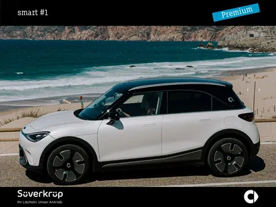 Smart Smart #1 PREMIUM 66 kWh inkl. Servicepaket im Auto Abo von Null-Leasing