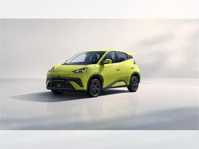 BYD BYD DOLPHIN SURF Comfort - Gewerbe im Auto Abo von LeasingMarkt.de