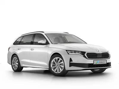 Skoda Skoda Octavia Combi 1.5 TSI Selection im Auto Abo von ViveLaCar