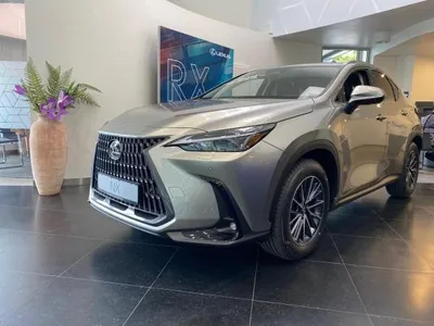Lexus Lexus NX 350h Executive Line im Auto Abo von LeasingMarkt.de