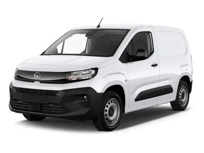 Opel Opel Combo Cargo M 102 PS Kamera+FlexCargo+AKTION%%% im Leasing von LeasingMarkt.de