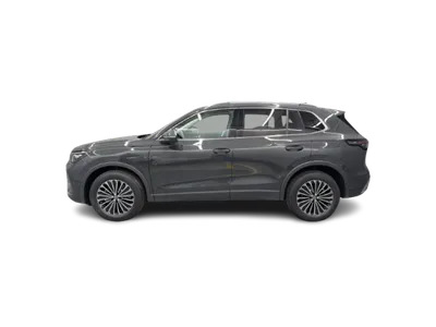 VW VW Tiguan 2.0 TDI SCR Elegance DSG 4motion im Auto Abo von CARIFY