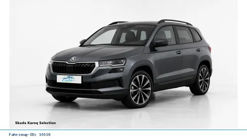 Skoda Skoda Karoq Selection 2,0 TDI 110 kW 7-Gang-DSG im Auto Abo von Carfino