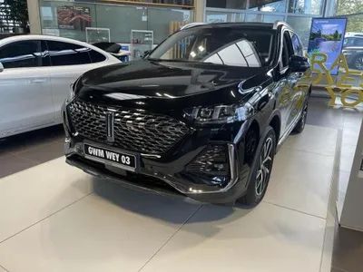 GWM GWM WEY 03 Premium / NAVI / SITZHEIZUNG / KLIMAAUTOMAT im Auto Abo von LeasingMarkt.de