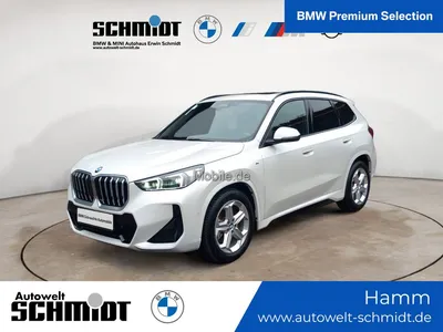 BMW BMW X1 xDrive23d M Sportpaket + GARANTIE-bis-03.2030 im Auto Abo von Mobile.de