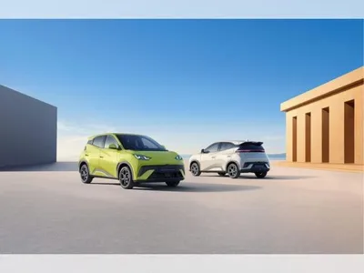 BYD BYD DOLPHIN SURF 43.2kWh Comfort im Auto Abo von LeasingMarkt.de