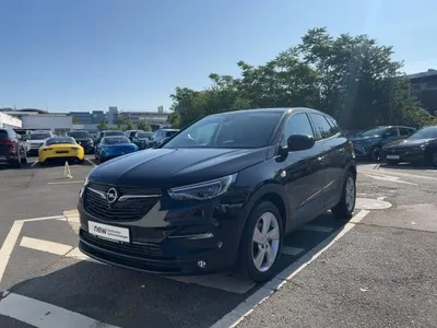 Opel Opel Grandland X 💥BUSINESS EDITION💥AHK💥KAMERA💥Wartung & TÜV Neu💥 im Auto Abo von LeasingMarkt.de