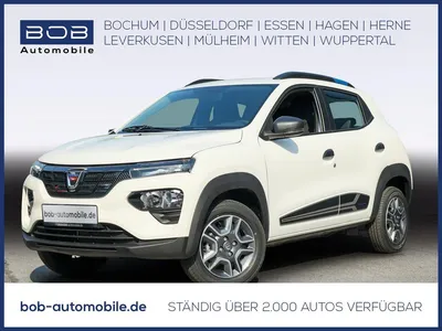 Dacia Dacia Spring Business KLIMA PDC im Auto Abo von Faaren