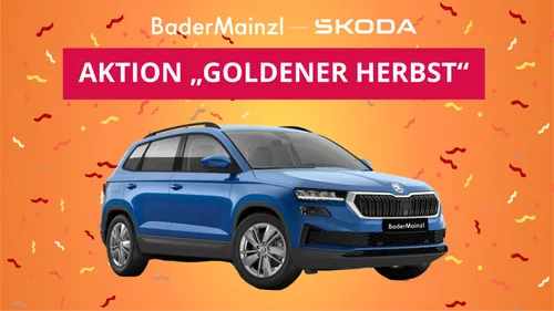 Skoda SKODA Karoq Selection 1.5TSI 150PS DSG - GEWERBE-AKTION  "Goldener Herbst" bei BaderMainzl ! im Auto Abo von Null-Leasing