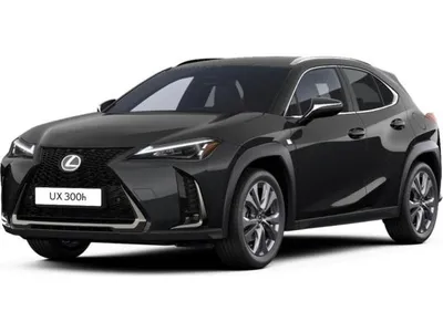 Lexus Lexus UX-300h F-Sport Design im Auto Abo von LeasingTime