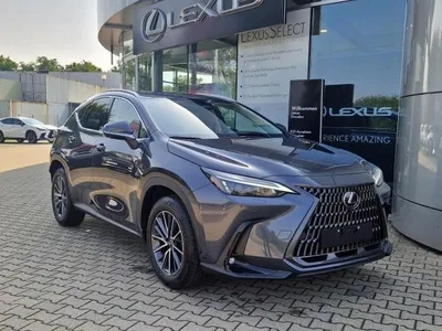 Lexus Lexus NX 350h Hybrid 4x2 Executive Line **Bis zu 15 Jahre Garantie!** im Auto Abo von LeasingMarkt.de