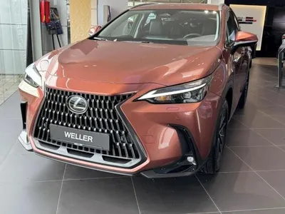Lexus Lexus NX 450h+ Executive Line | inkl. Interieur- & Technik-Paket | Sonderlackierung | sofort verfügbar in Leipzig im Auto Abo von LeasingMarkt.de