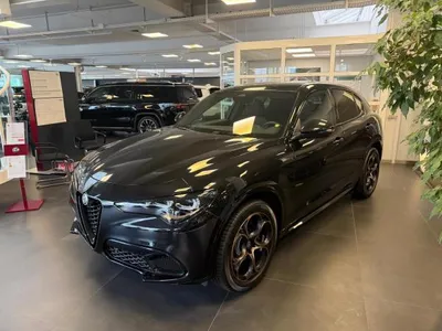 Alfa Romeo Alfa Romeo Stelvio 2.0 Turbo 16V Q4 AT INTENSA Abholung Mannheim im Auto Abo von LeasingMarkt.de