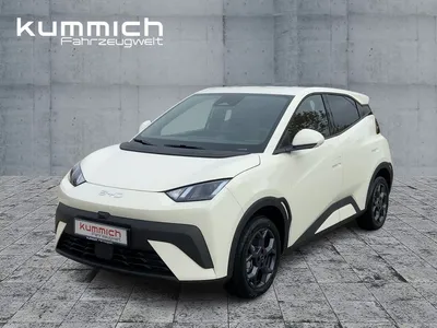 BYD BYD DOLPHIN SURF Comfort im Auto Abo von Null-Leasing