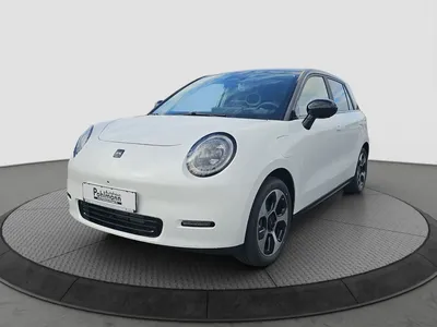 JAC Motors JAC E30X Nordic Edition 50 - 51,5 KW/h, 3 Phasig, Pa im Leasing von Null-Leasing