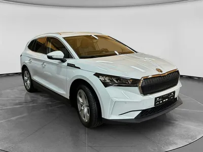Skoda Skoda Klima/SHZ/Nav/Haustürlieferung inkl.  - aufLager im Leasing von Null-Leasing