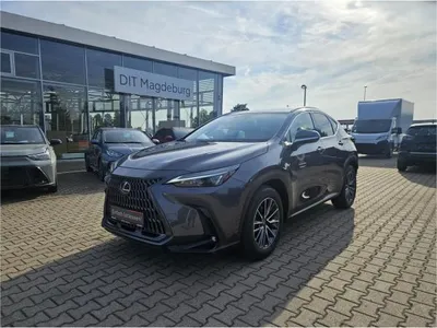 Lexus Lexus NX 450h+ E-FOUR Executive im Leasing von LeasingMarkt.de