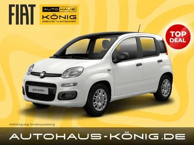 Fiat Fiat Panda Neues Modell | Citypaket | Sofort verfügbar❗️ im Auto Abo von LeasingMarkt.de