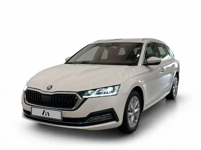 Skoda Skoda Octavia Combi 1.5 TSI Style im Auto Abo von ViveLaCar