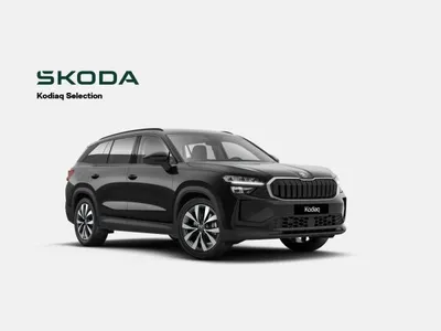 Skoda Skoda Kodiaq Selection im Leasing von LeasingMarkt.de