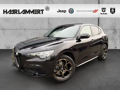 Alfa Romeo Alfa Romeo Stelvio Intensa Q4 2.0 PDC+KAMERA+CARPLAY+SHZ im Leasing von Null-Leasing