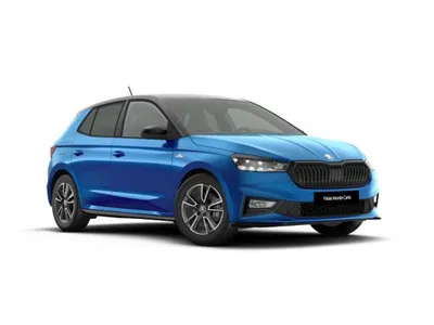 Skoda Skoda Fabia 1.0l TSI DSG Monte Carlo | Gewerbe im Leasing von LeasingTime