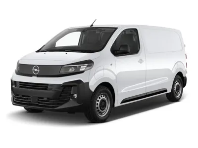 Opel Opel Vivaro 2.2  XL L3 AHZV Holzboden im Leasing von LeasingMarkt.de