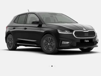 Skoda Skoda Fabia 1.0 TSI Tour *Lager* ACC, Kamera, PDC, .... im Auto Abo von LeasingMarkt.de