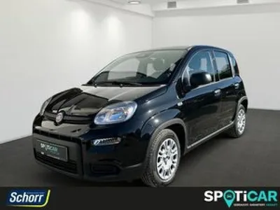 Fiat Fiat Panda 1.0 GSE Hybrid ***Sofort verfügbar im Auto Abo von LeasingMarkt.de