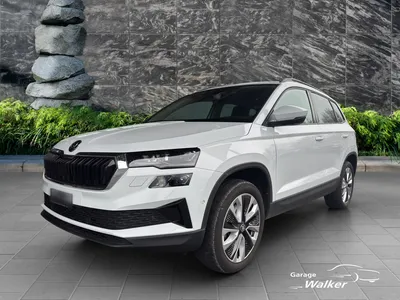 Skoda SKODA KAROQ 2.0 TDI im Auto Abo von CARIFY
