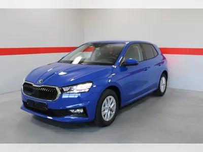 Skoda Skoda Fabia Selection | SONDERAKTION | nur Gewerbeleasing -14235 im Leasing von LeasingMarkt.de