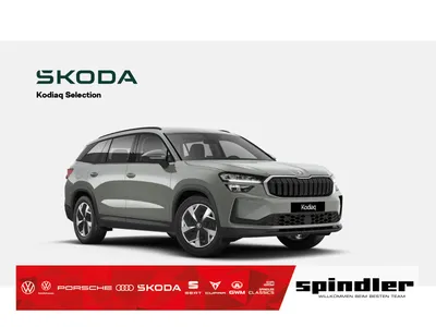 Skoda SKODA Kodiaq Selection 2.0 TDI DSG 4x4 /LED, 360°, APP im Auto Abo von Null-Leasing