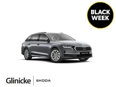 Skoda Skoda Octavia Combi 2.0 TDI DSG Selection Infotainment im Auto Abo von Mobile.de