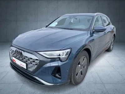 Audi Audi Q8 e-tron advanced 50 qu. ParkAss 360 21Ž ACC im Auto Abo von LeasingMarkt.de