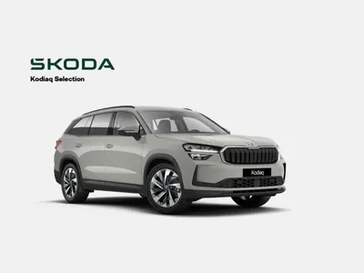 Skoda Skoda Kodiaq Selection im Leasing von LeasingMarkt.de
