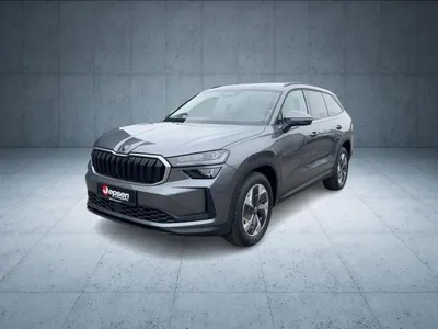 Skoda Skoda Kodiaq Selection 2.0 TDI DSG MATRIX/NAVI/ACC ACC im Auto Abo von LeasingMarkt.de