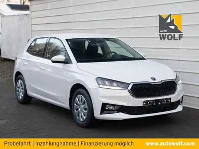 Skoda Skoda Fabia Selection 1.0 TSI *LED*SHZ*Climatronic*Virtual Cockpit im Auto Abo von Faaren
