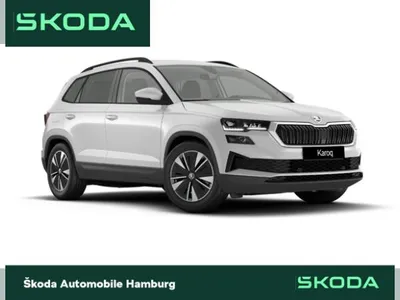 Skoda Skoda Karoq 1.5l TSI ACT  DSG Balance im Auto Abo von LeasingMarkt.de