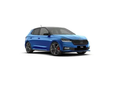 Skoda Skoda Fabia 1.5l TSI 130 Jahre Edition ❗️Eroberungsaktion❗️ im Leasing von LeasingMarkt.de
