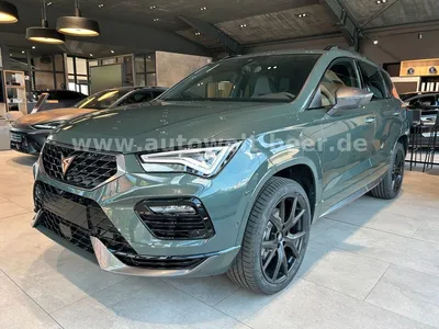 Cupra Cupra Ateca Tribe Ed. 2.0 TSI 190PS DSG 4Drive*360°CAM im Leasing von Null-Leasing