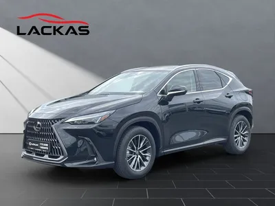 Lexus Lexus NX 450h +EXECUTIVE+PANO+TECH-INTE-P 15J-GARANTIE im Leasing von Null-Leasing
