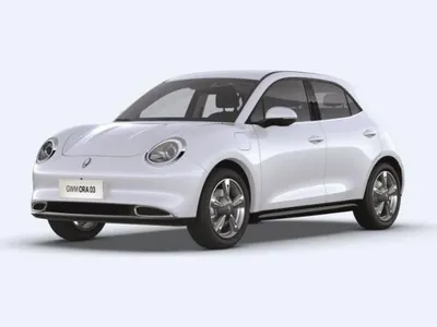 GWM GWM ORA 03 300 mit 5 Jahren Herstellergarantie im Auto Abo von LeasingTime
