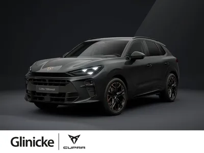 Cupra Cupra Terramar 2.0 TSI DSG VZ 4Drive 20" Matrix im Leasing von Null-Leasing